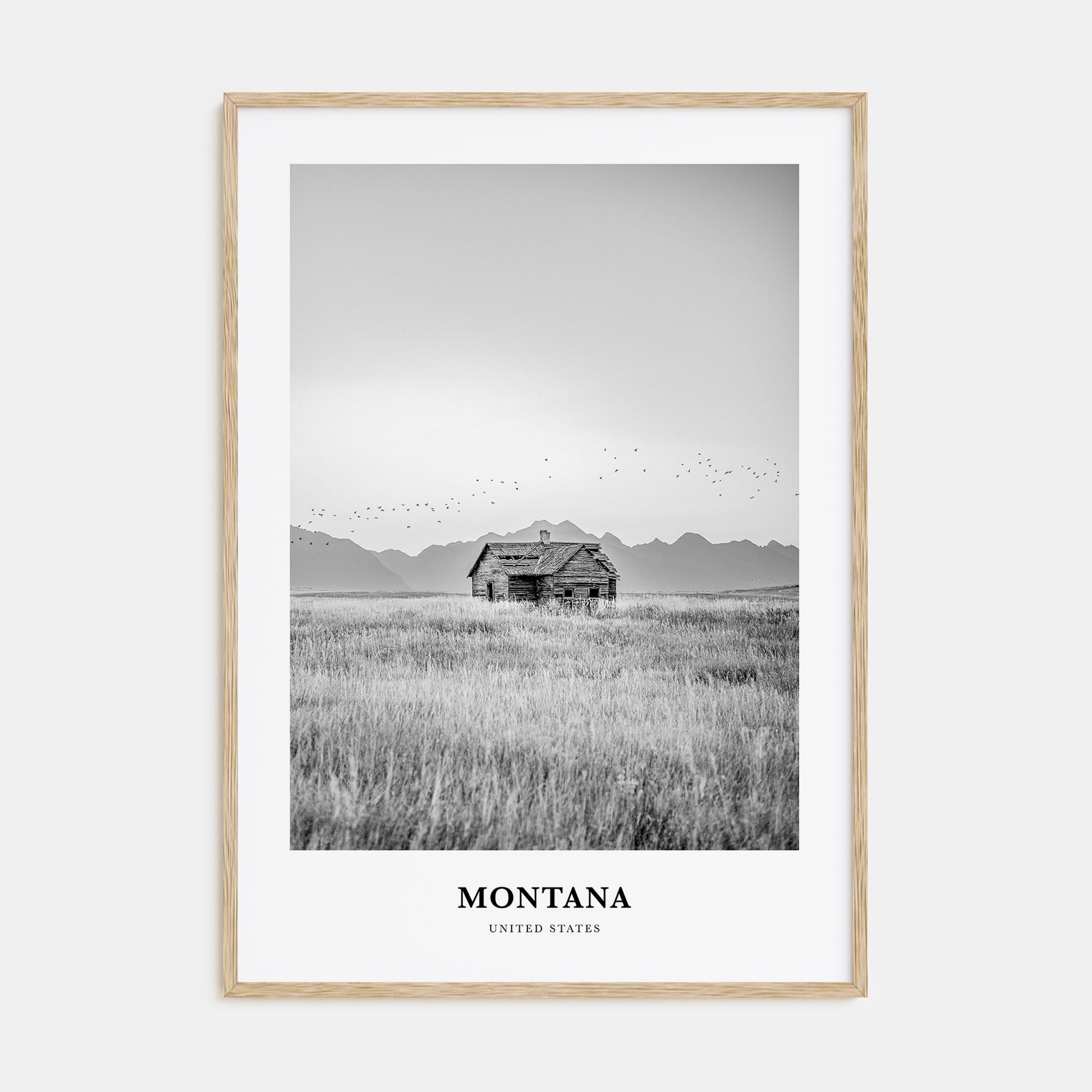 Montana Portrait B&W No 1 Poster