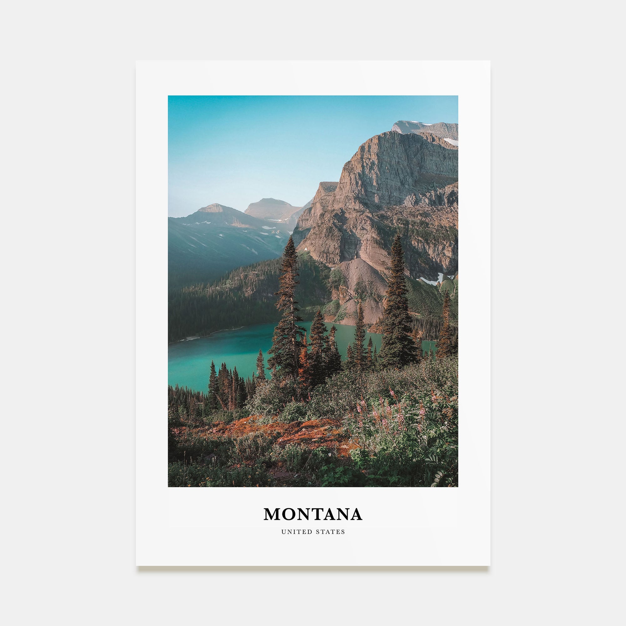 Montana Portrait Color No 1 Poster