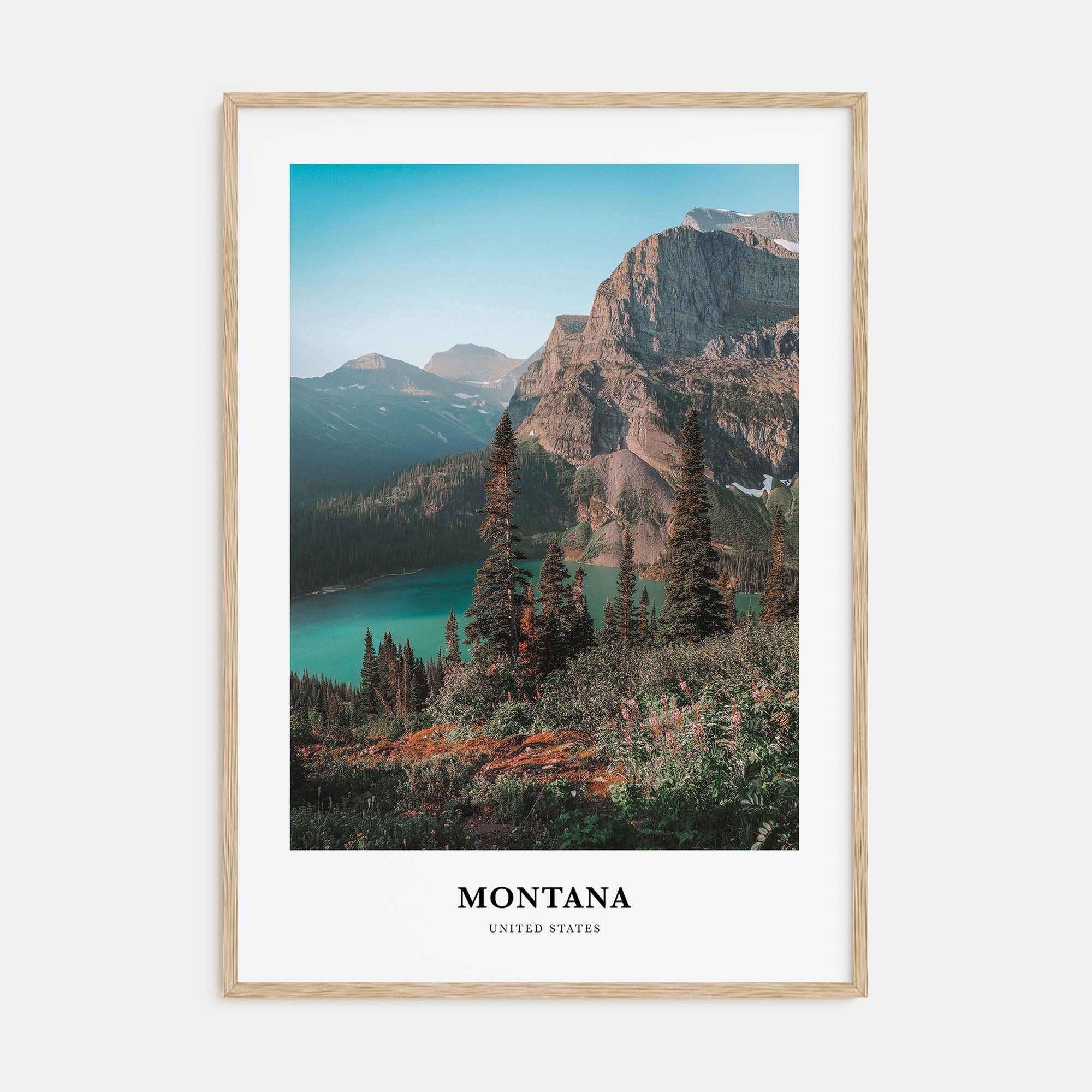 Montana Portrait Color No 1 Poster