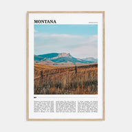 Montana Travel Color No 2 Poster
