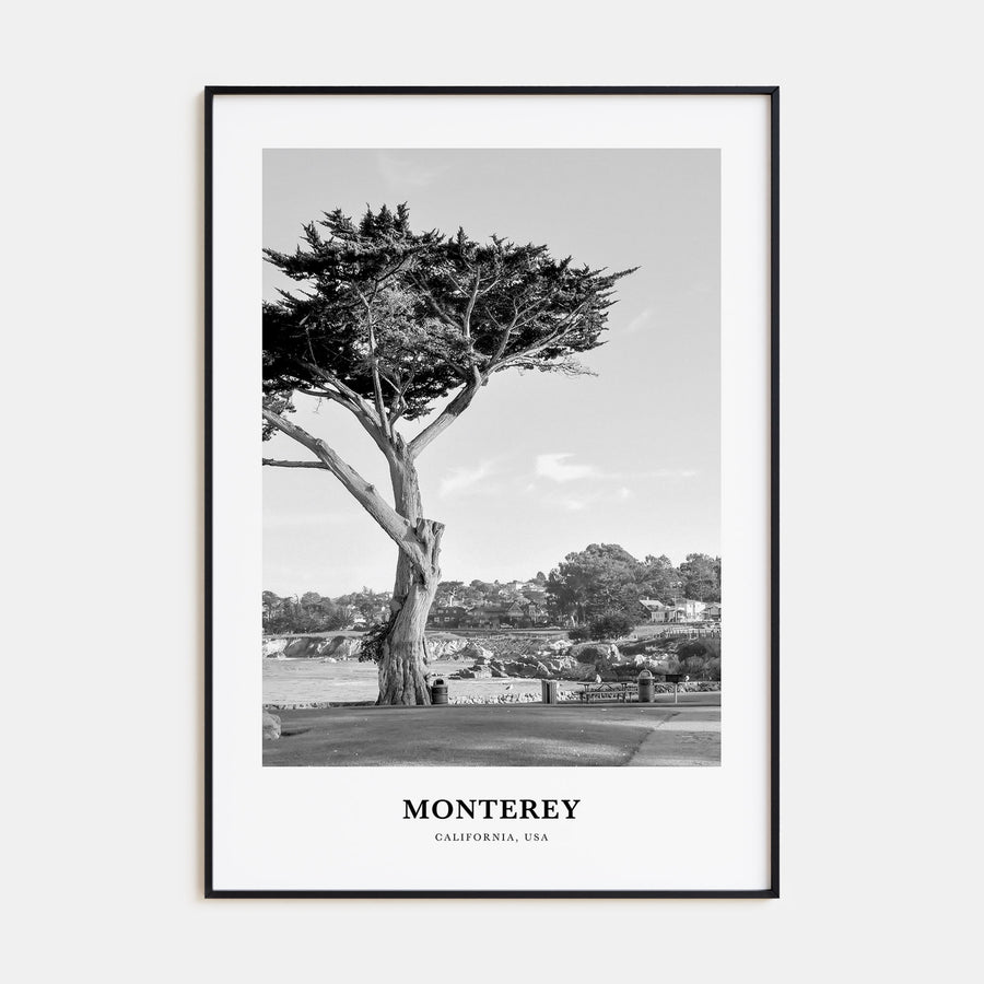 Monterey Portrait B&W Poster