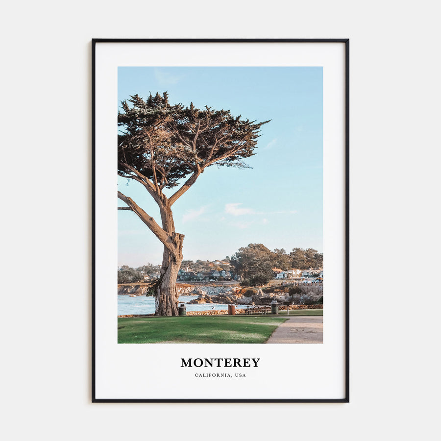 Monterey Portrait Color Poster