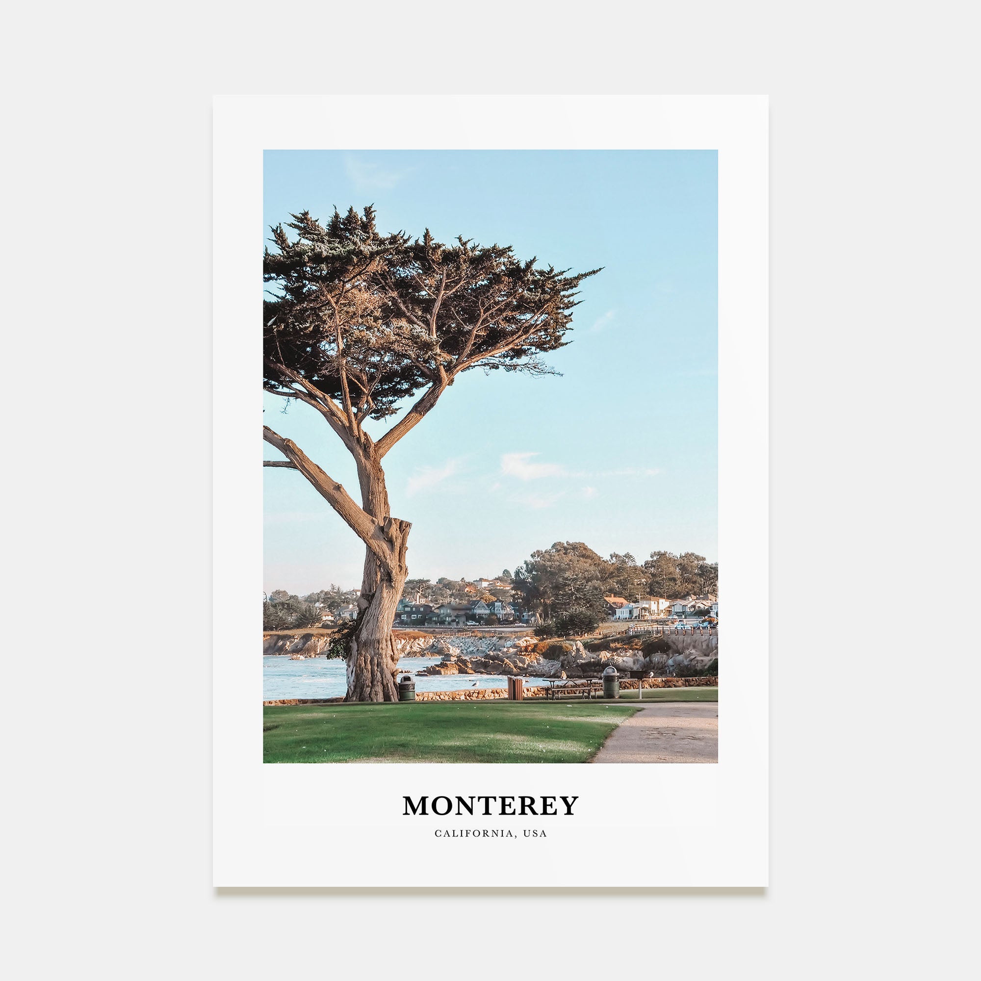 Monterey Portrait Color Poster
