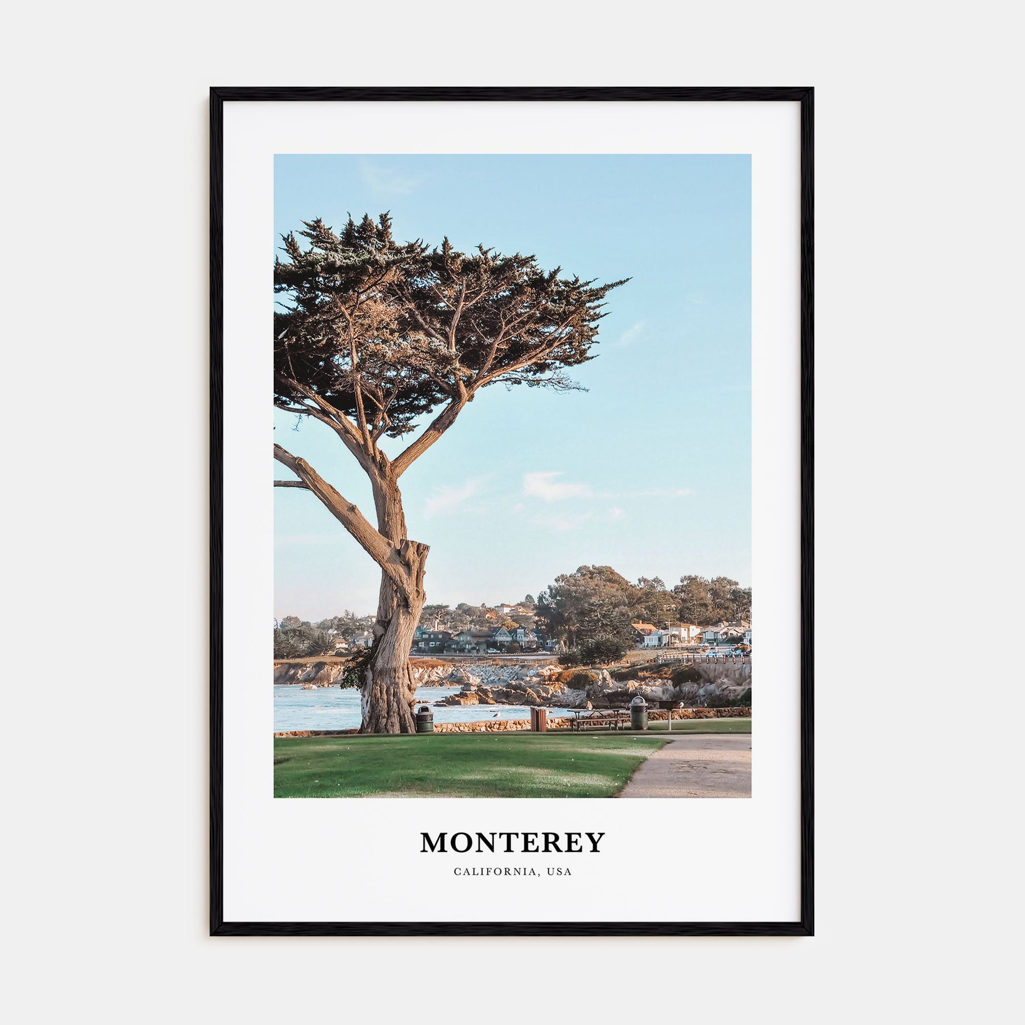 Monterey Portrait Color Poster