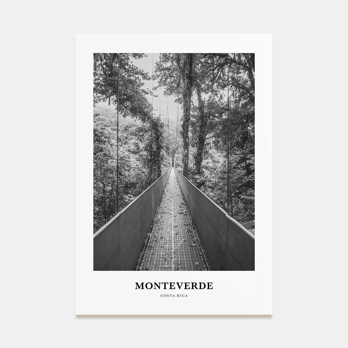 Monteverde Portrait B&W Poster