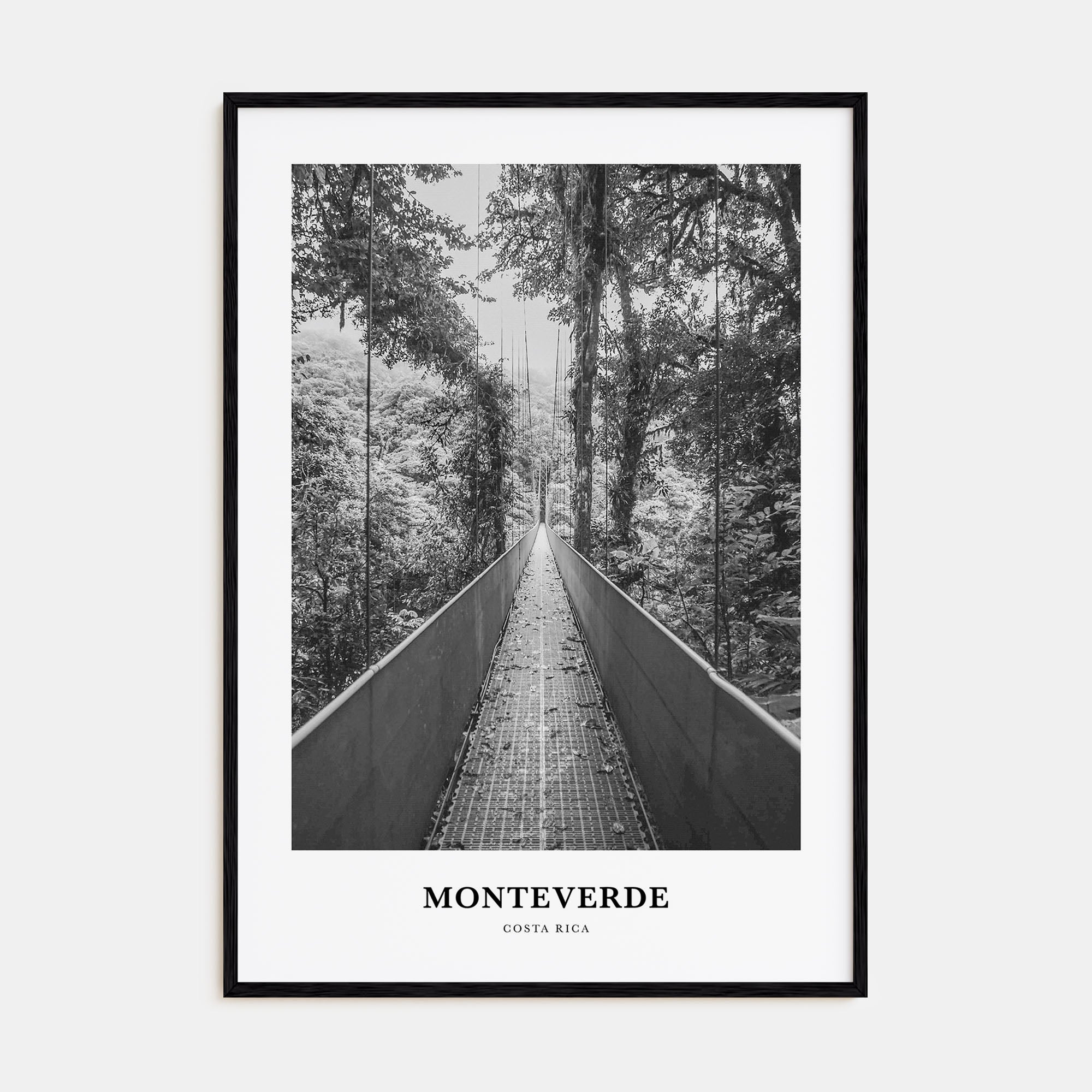 Monteverde Portrait B&W Poster