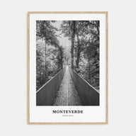 Monteverde Portrait B&W Poster