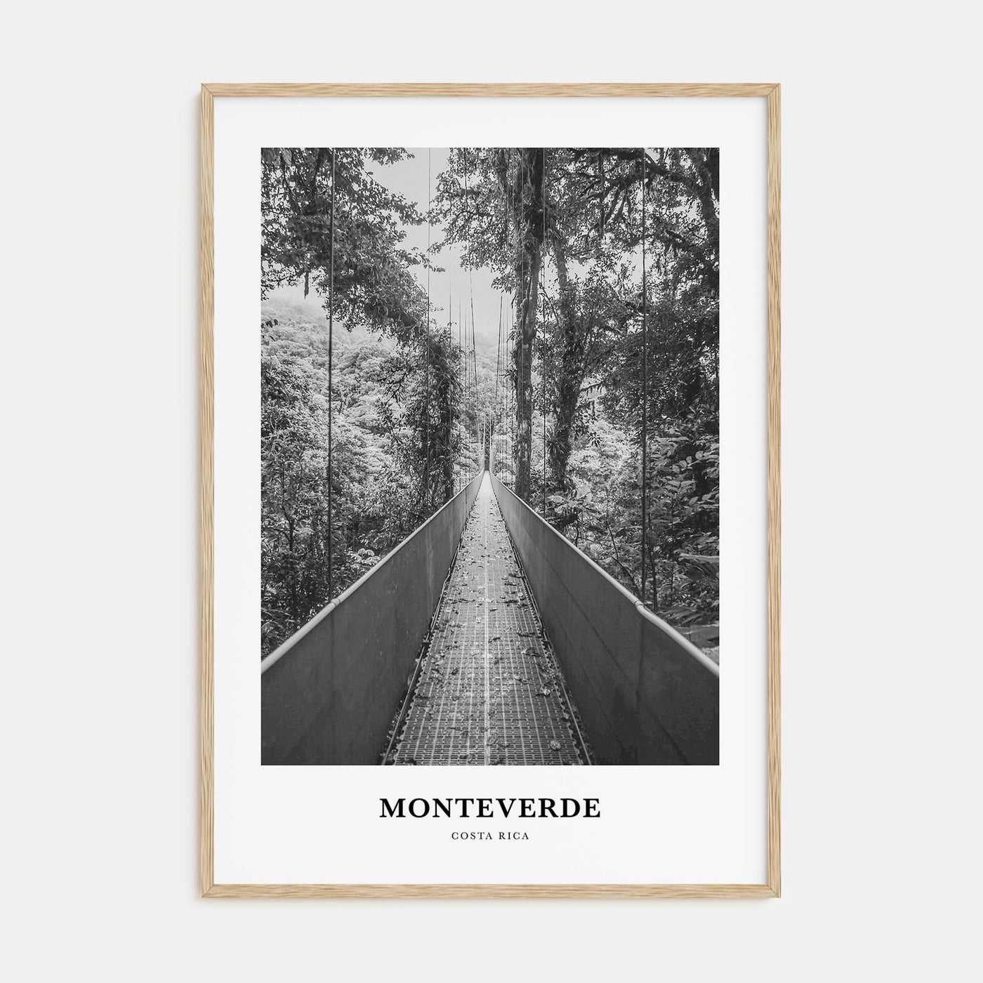 Monteverde Portrait B&W Poster