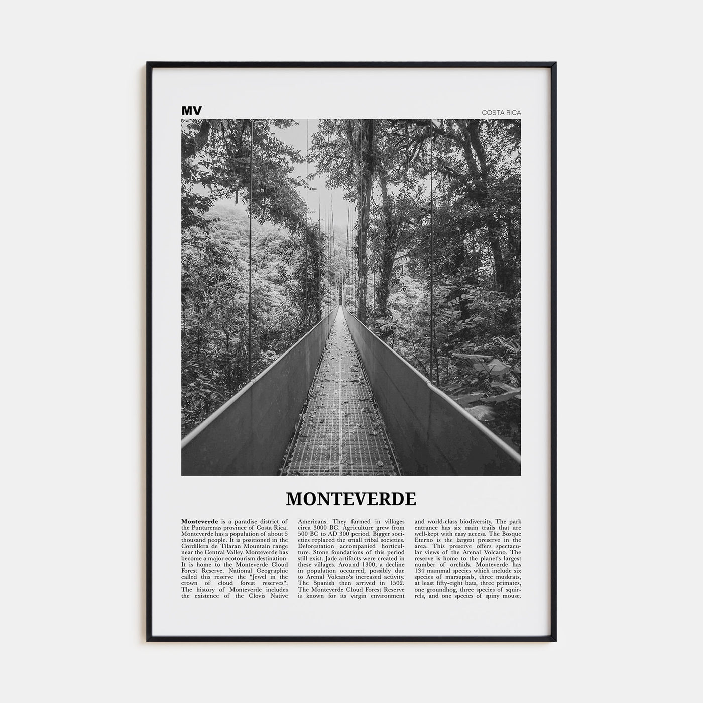 Monteverde Travel B&W Poster