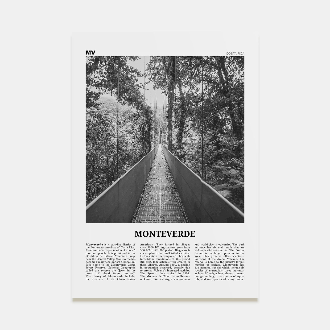 Monteverde Travel B&W Poster