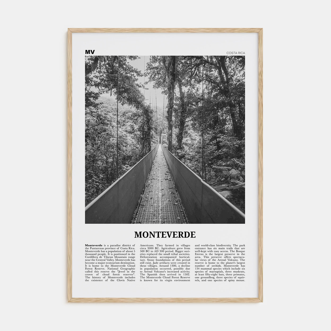 Monteverde Travel B&W Poster