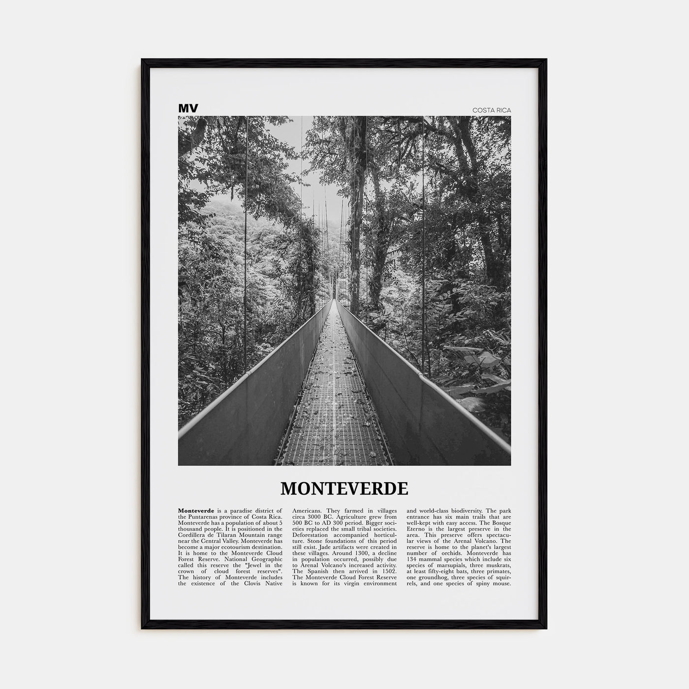 Monteverde Travel B&W Poster