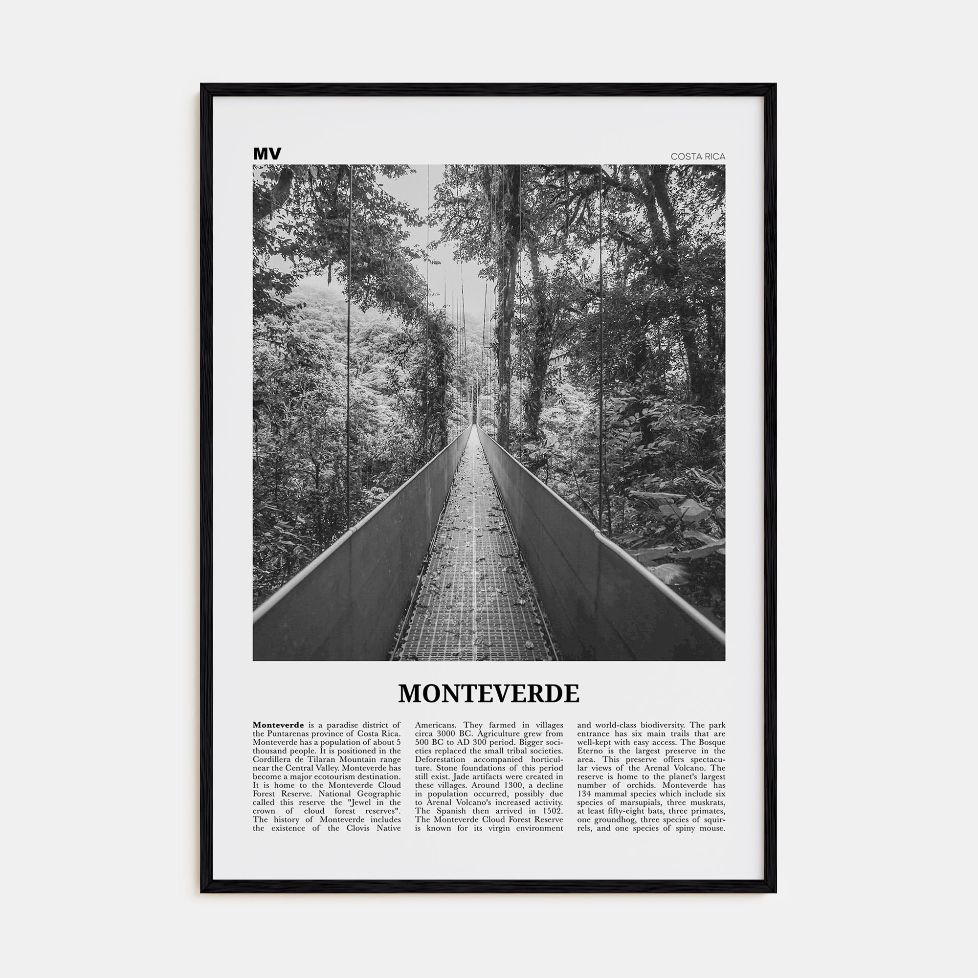 Monteverde Travel B&W Poster