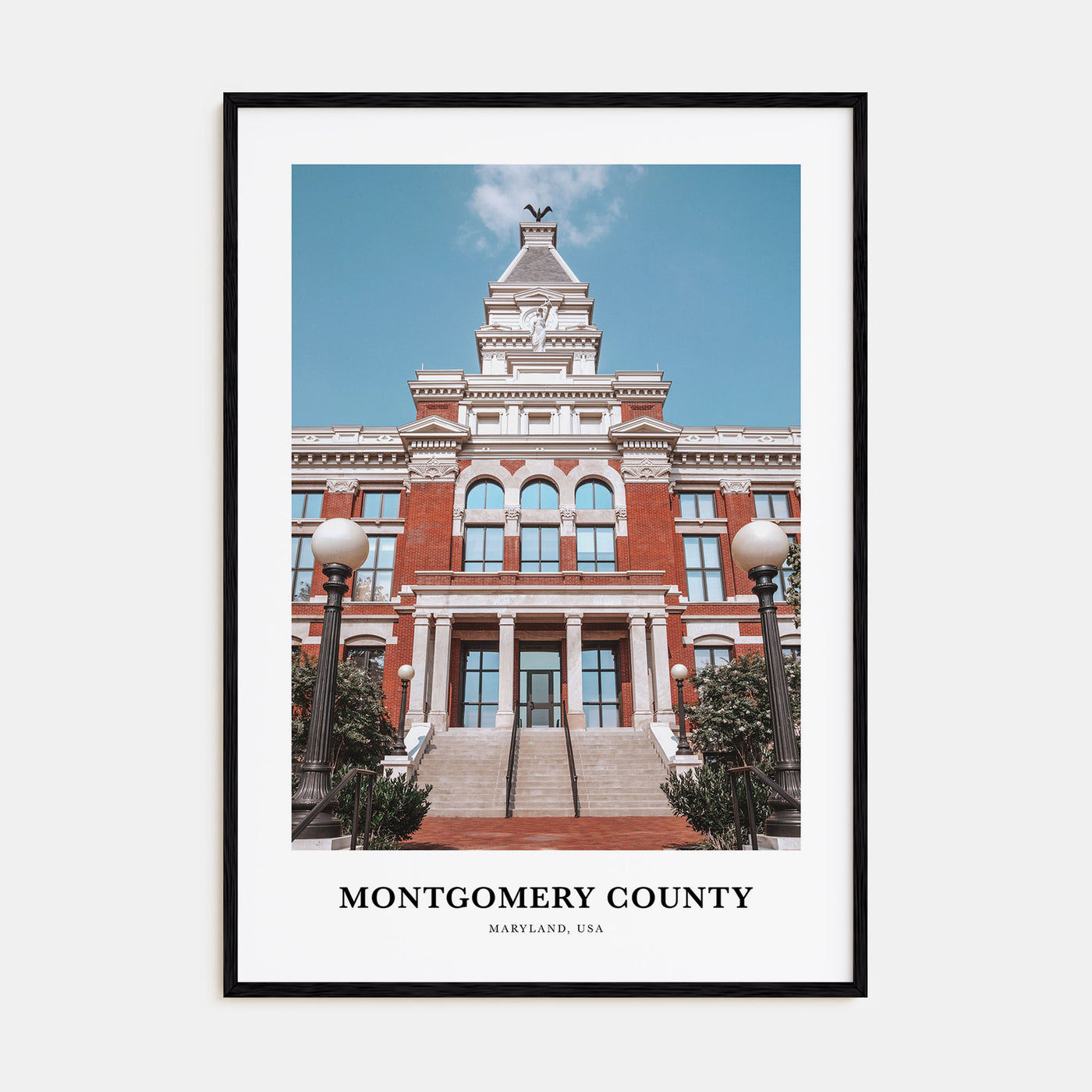 Montgomery County Portrait Color Poster