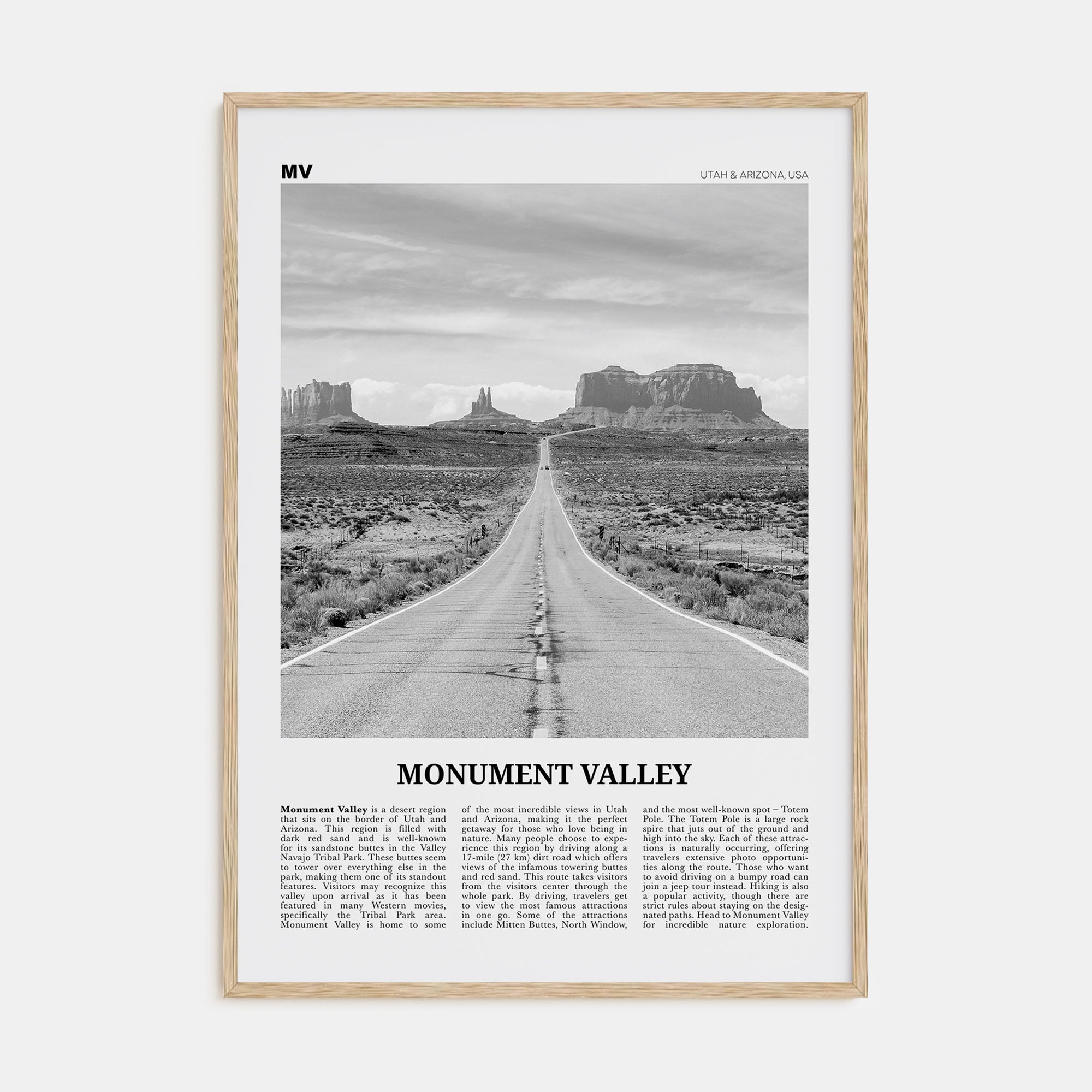 Monument Valley Travel B&W Poster