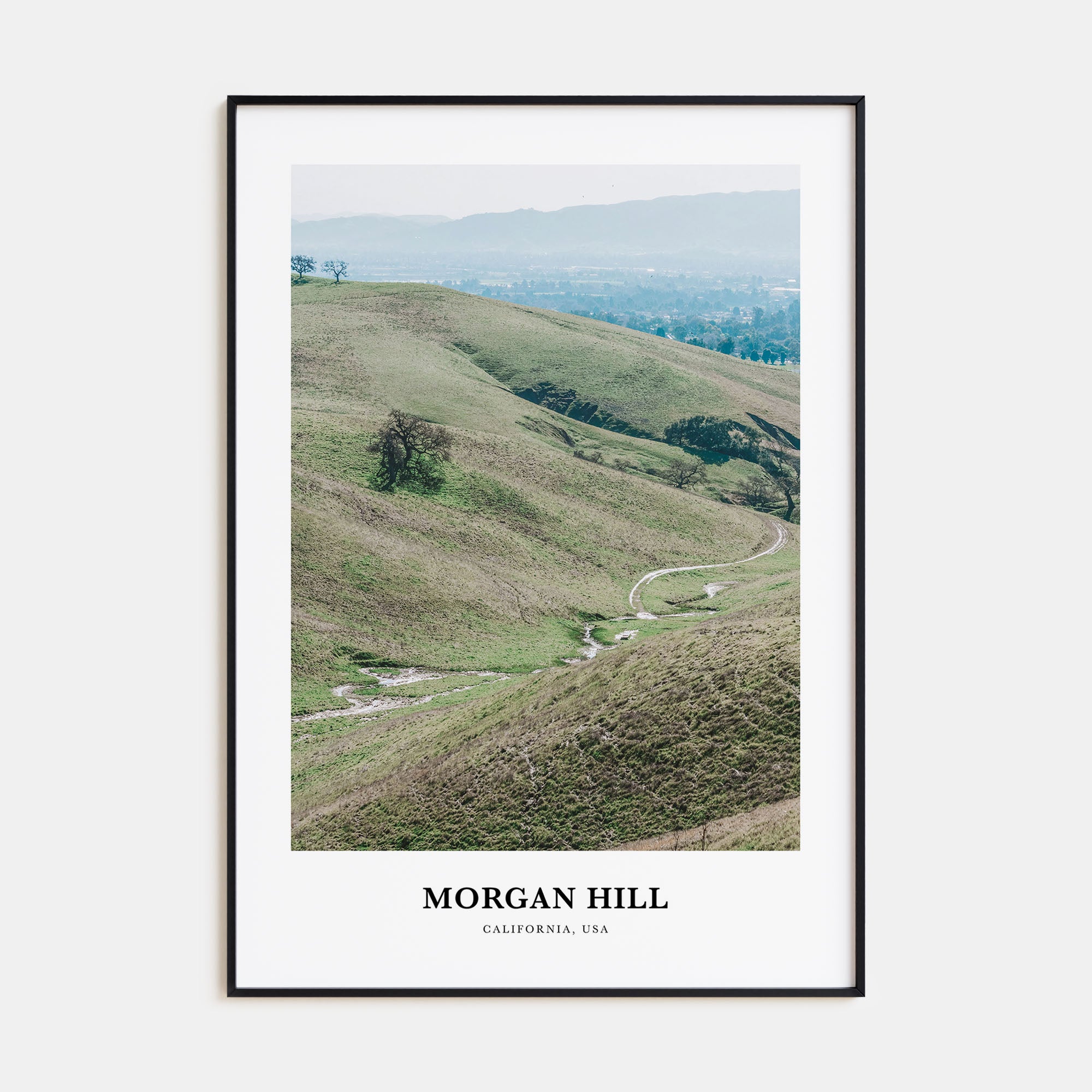 Morgan Hill Portrait Color Poster