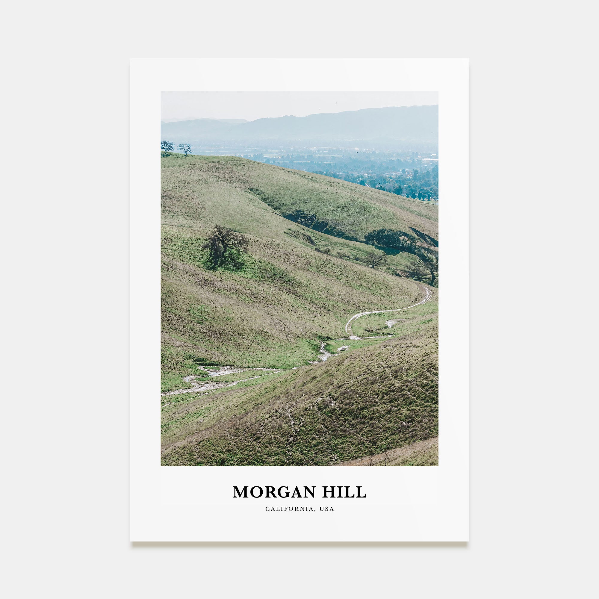Morgan Hill Portrait Color Poster