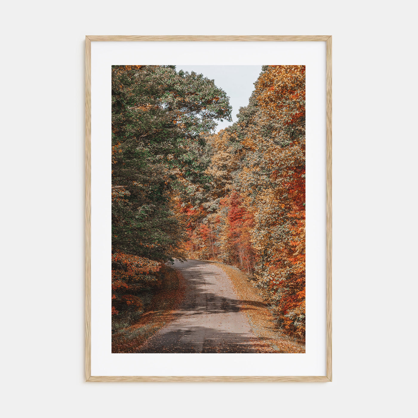 Morgantown Photo Color Poster