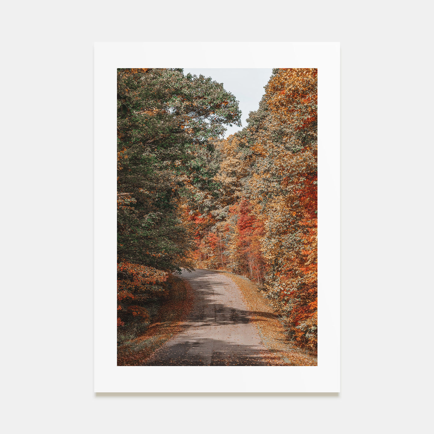 Morgantown Photo Color Poster