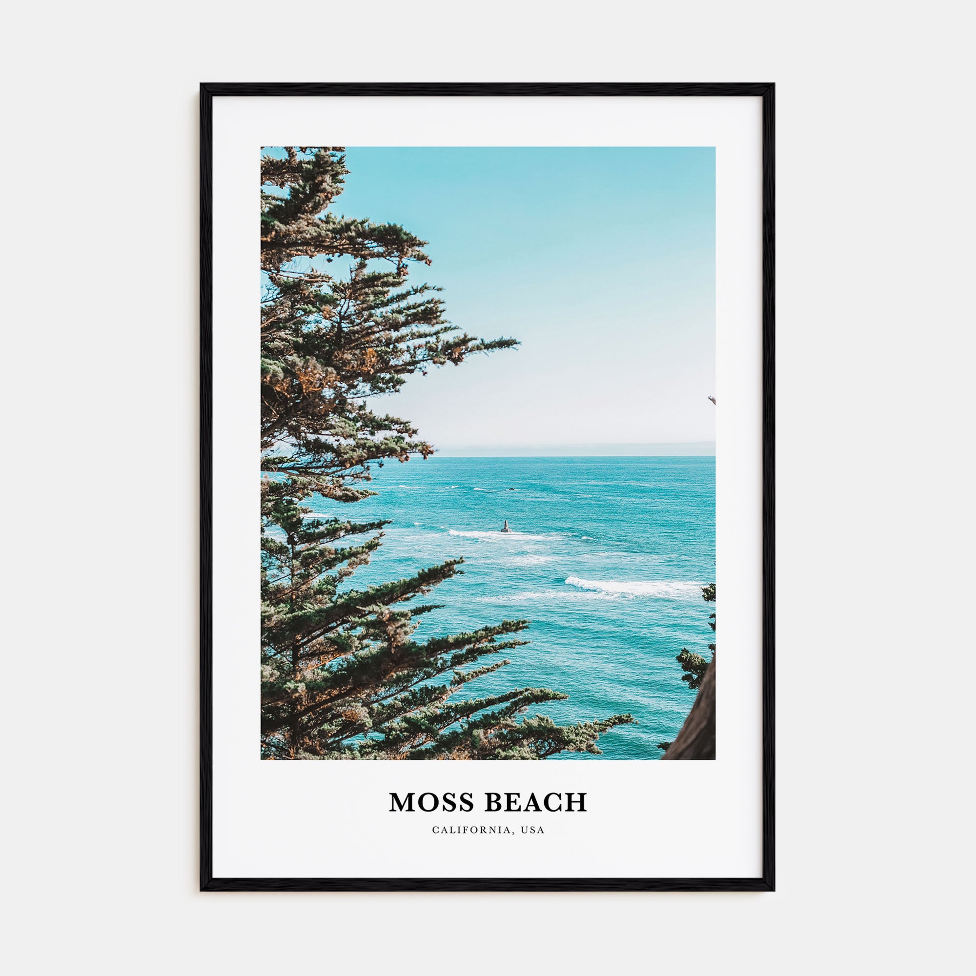 Moss Beach Portrait Color Poster