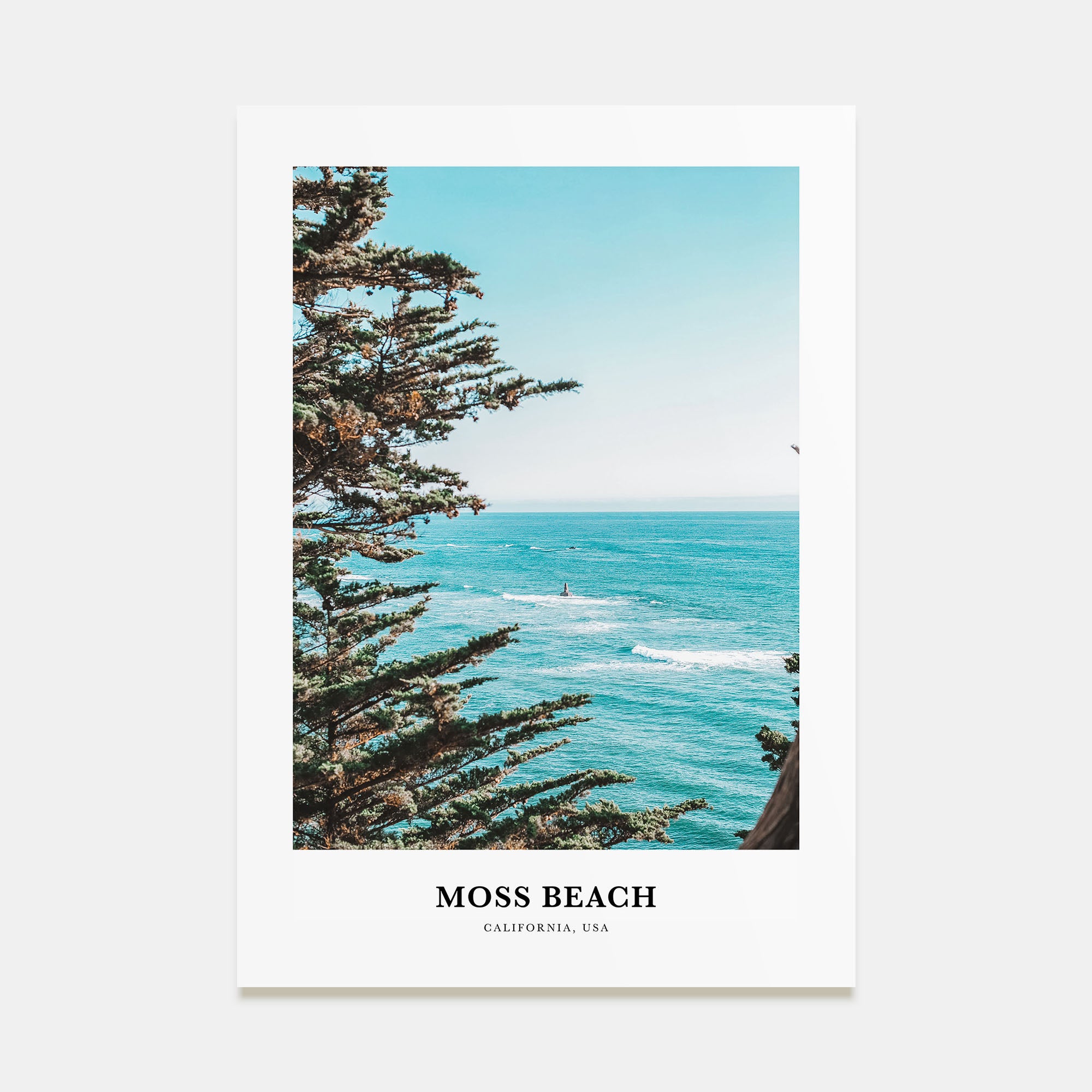 Moss Beach Portrait Color Poster