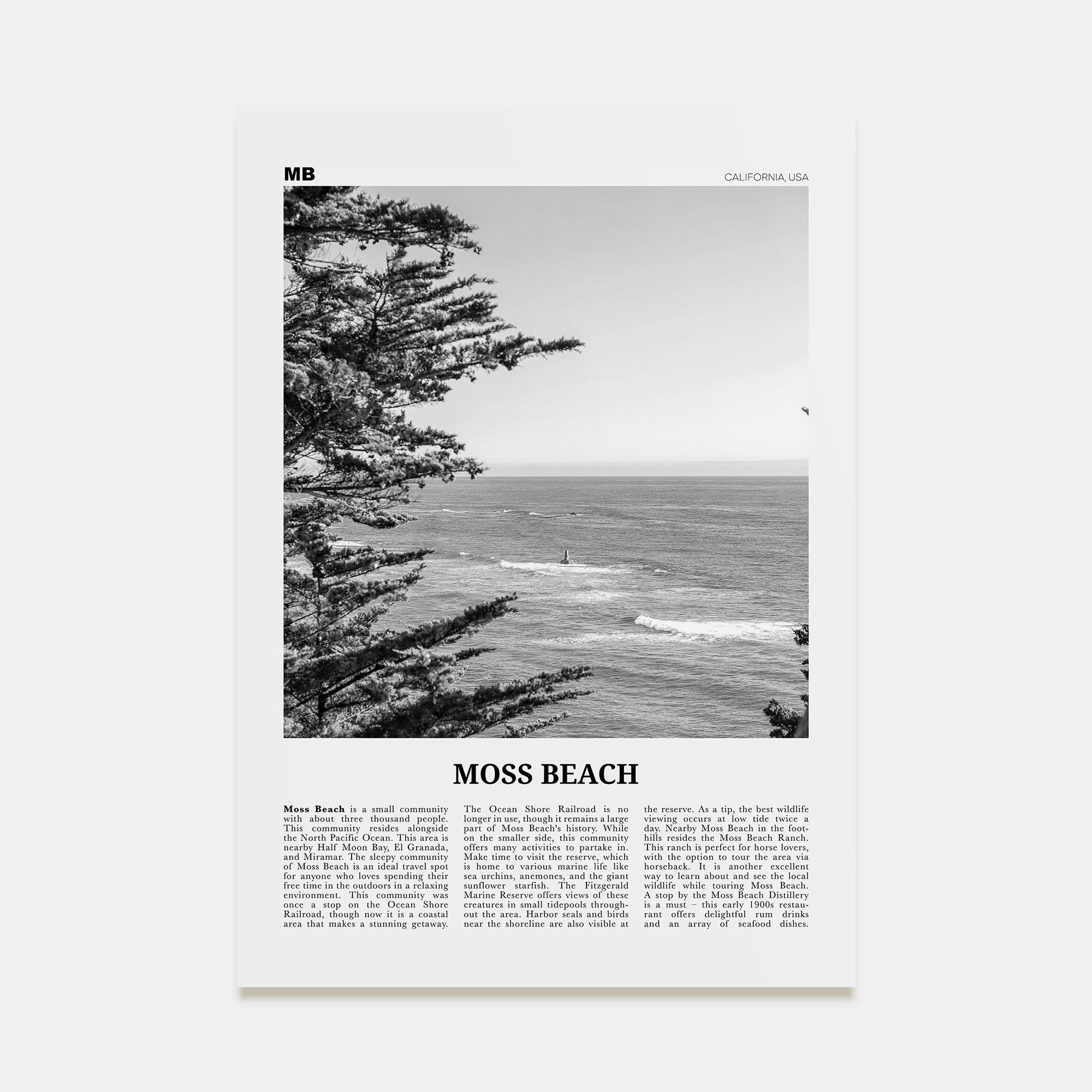 Moss Beach Travel B&W Poster