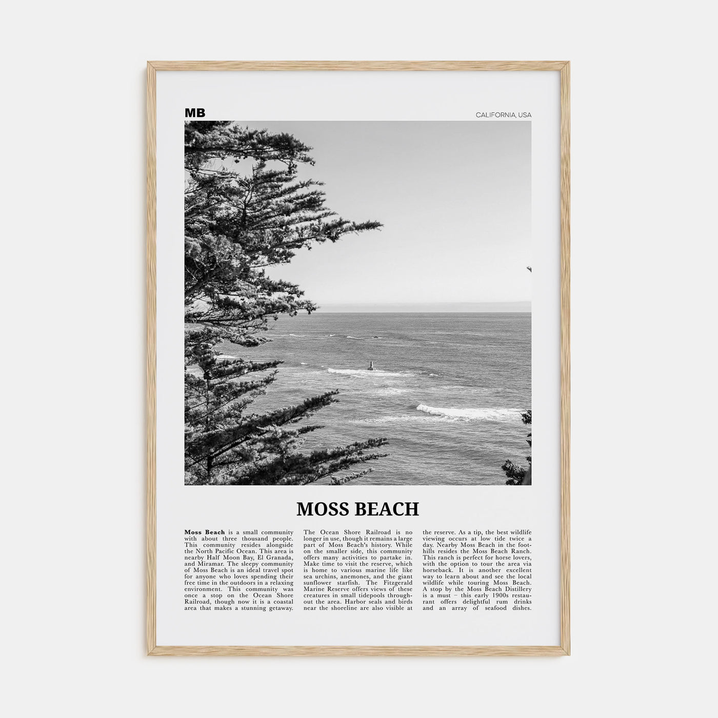 Moss Beach Travel B&W Poster