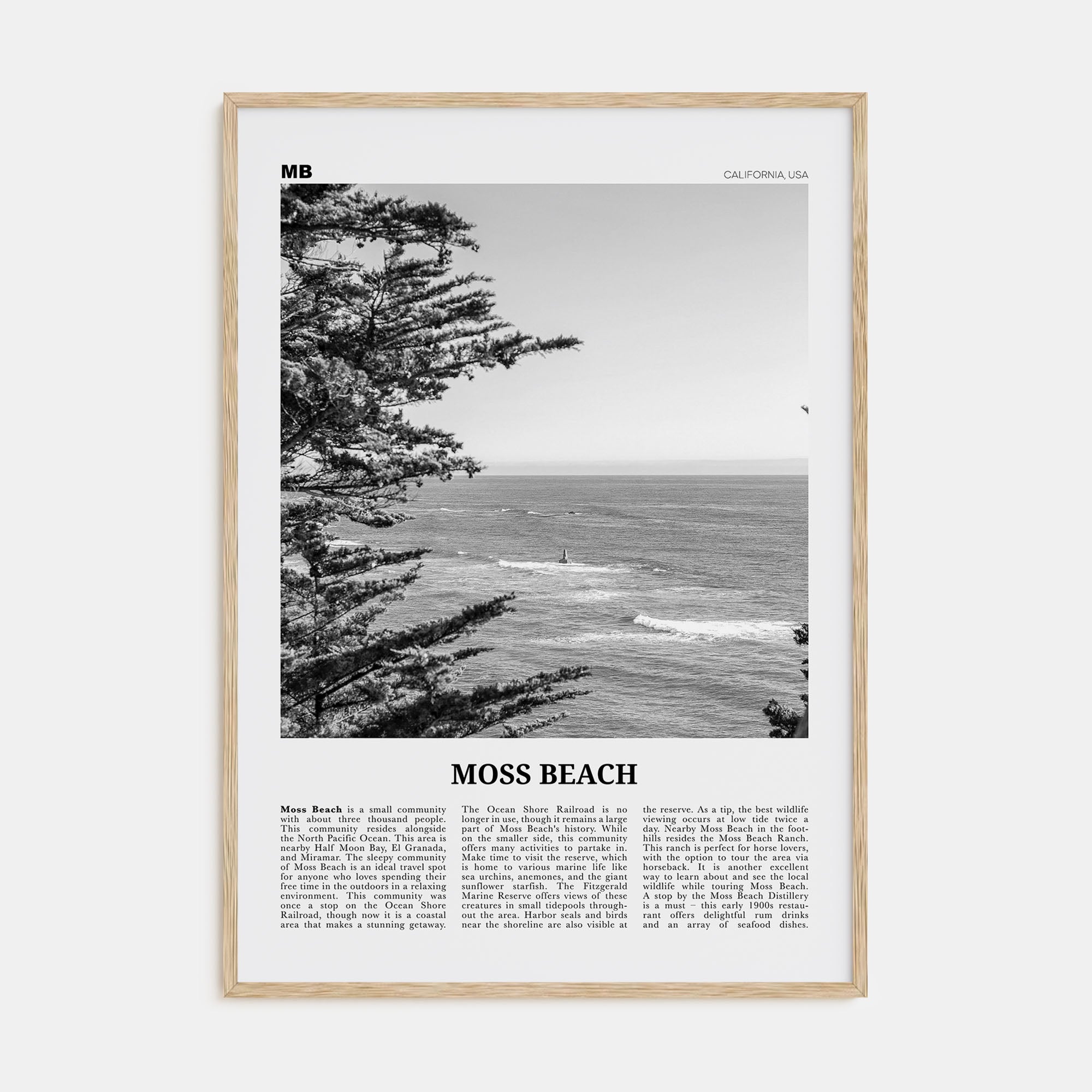 Moss Beach Travel B&W Poster
