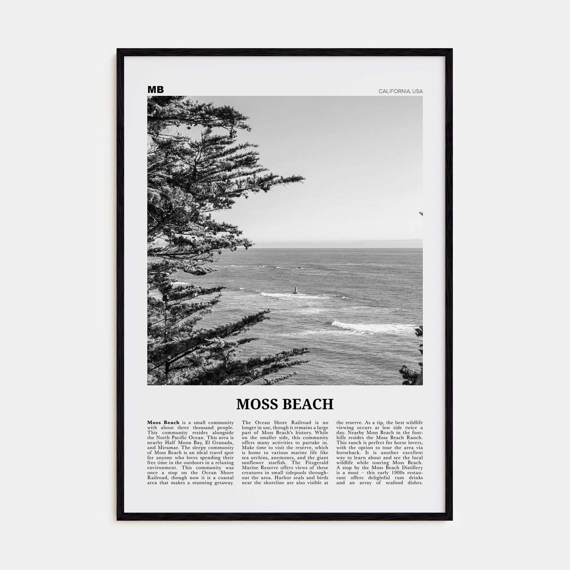 Moss Beach Travel B&W Poster