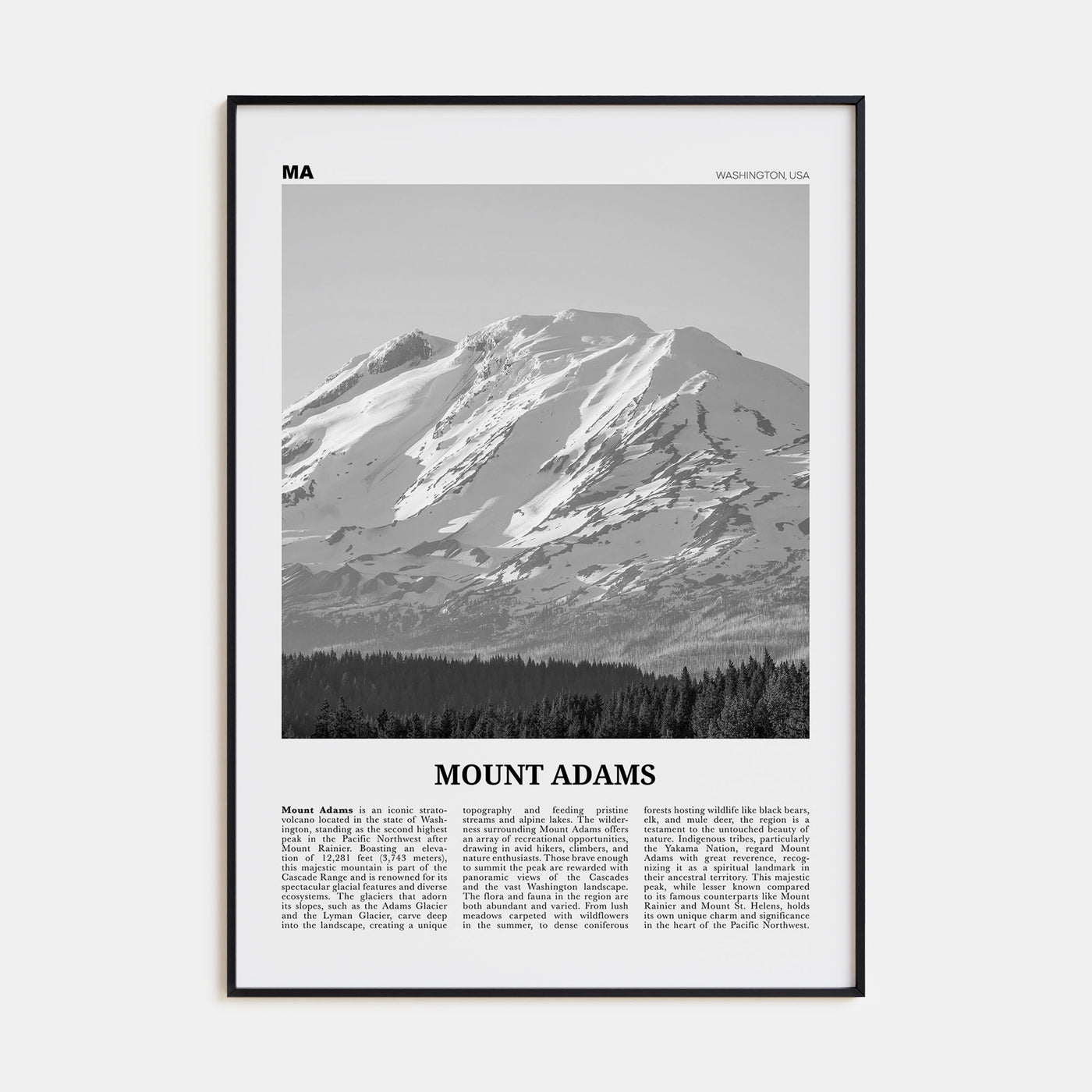Mount Adams Travel B&W Poster