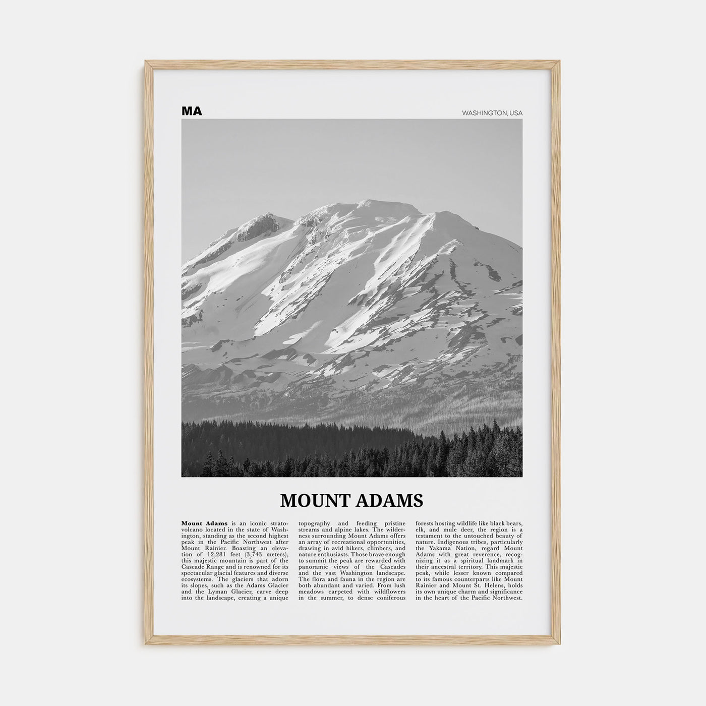 Mount Adams Travel B&W Poster
