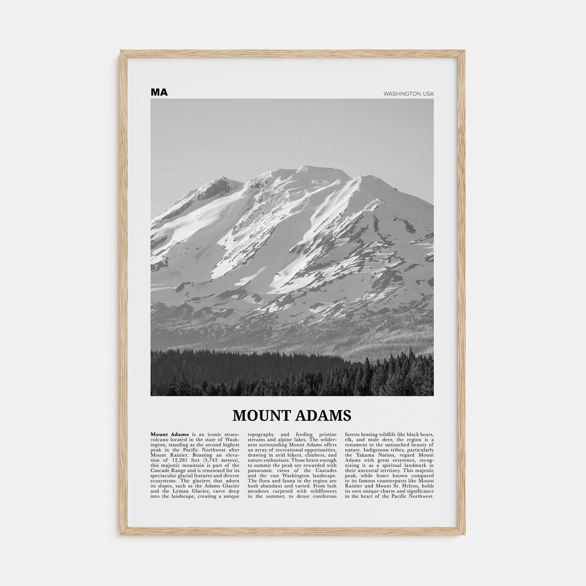 Mount Adams Travel B&W Poster