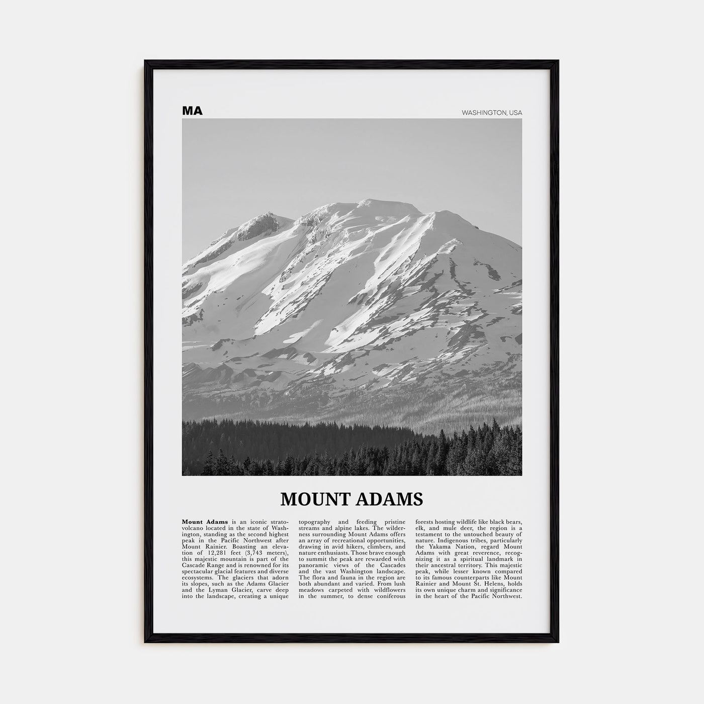 Mount Adams Travel B&W Poster