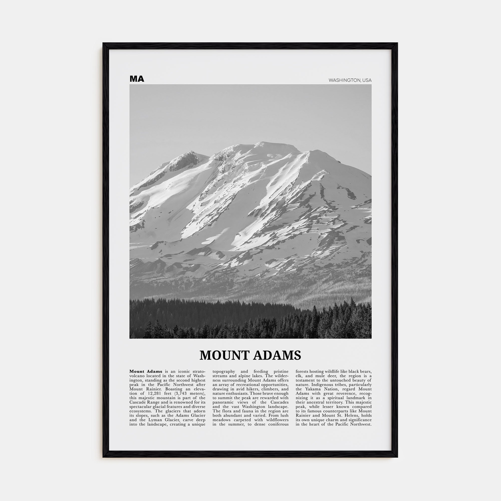 Mount Adams Travel B&W Poster