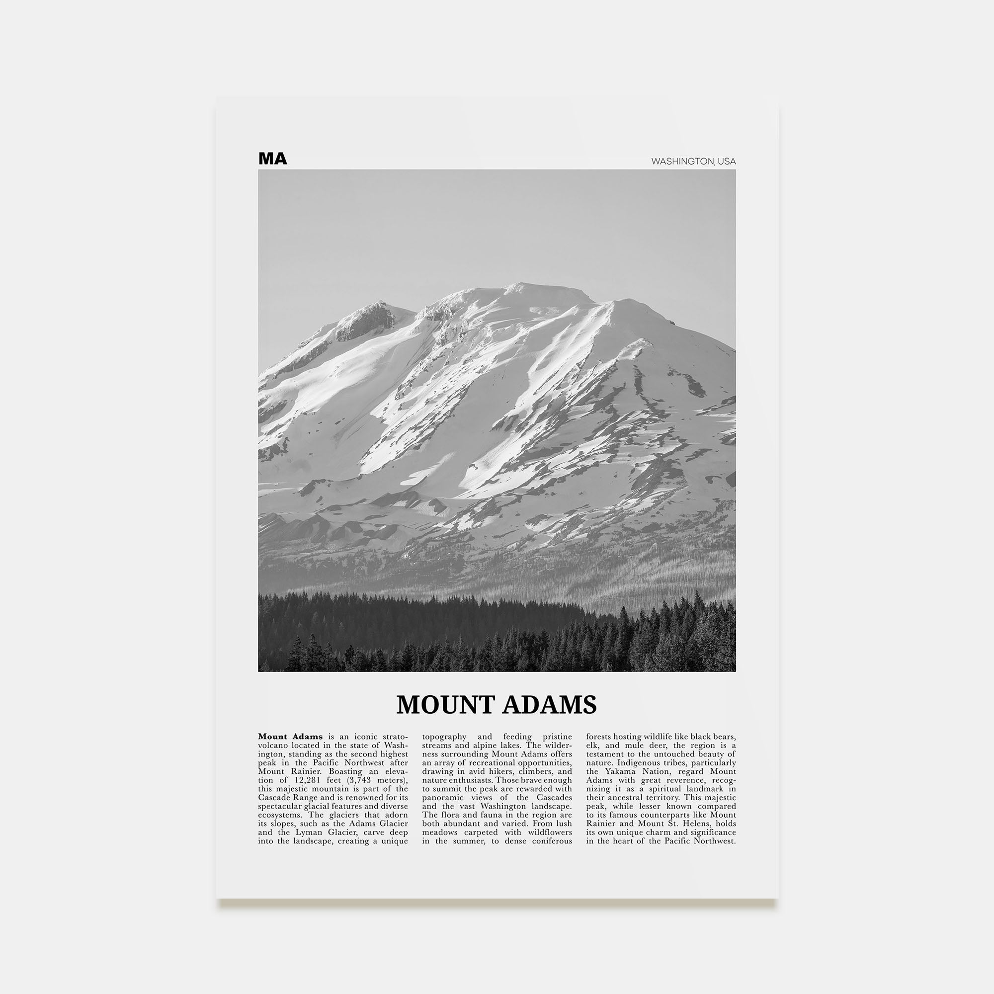 Mount Adams Travel B&W Poster