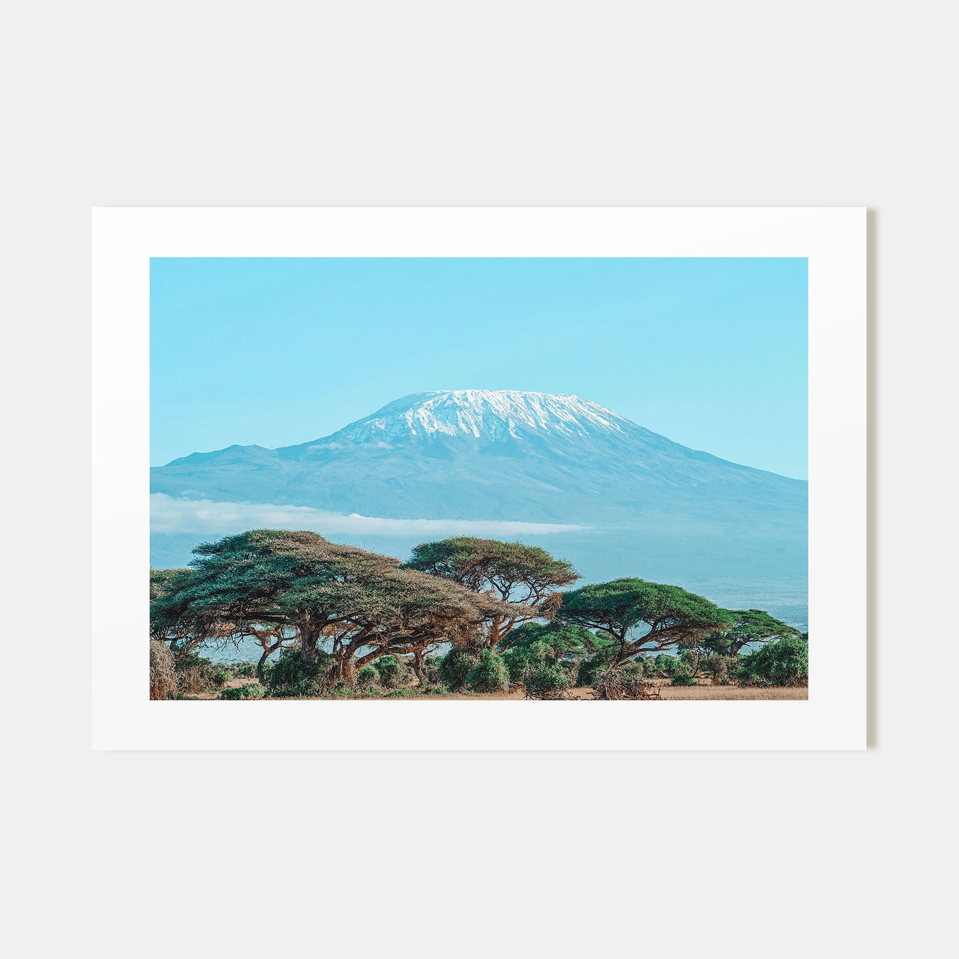 Mount Kilimanjaro Landscape Color Poster