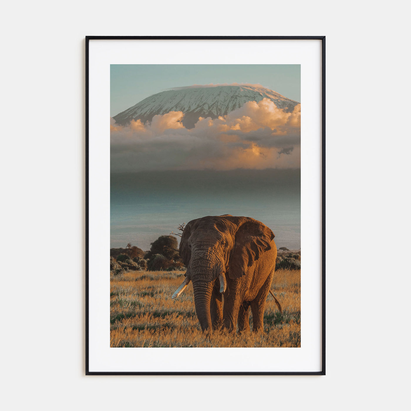 Mount Kilimanjaro Photo Color No 2 Poster