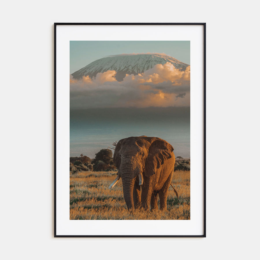 Mount Kilimanjaro Photo Color No 2 Poster