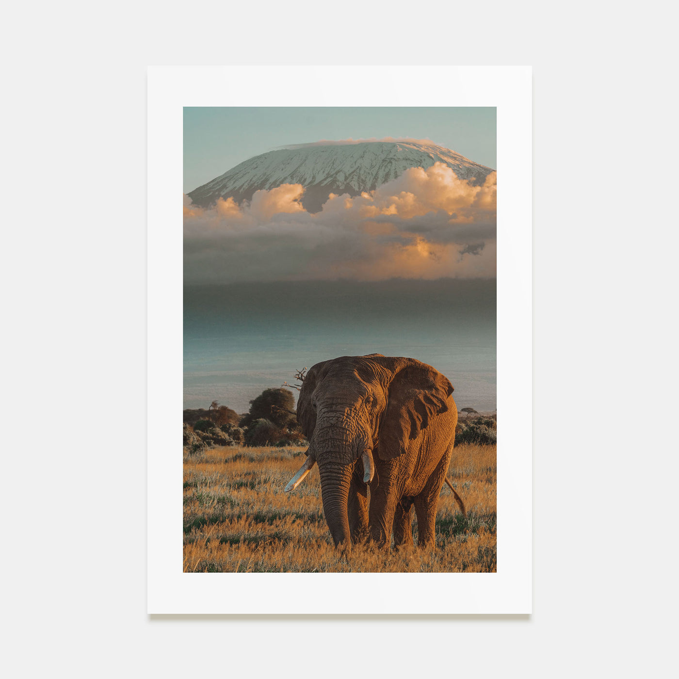 Mount Kilimanjaro Photo Color No 2 Poster