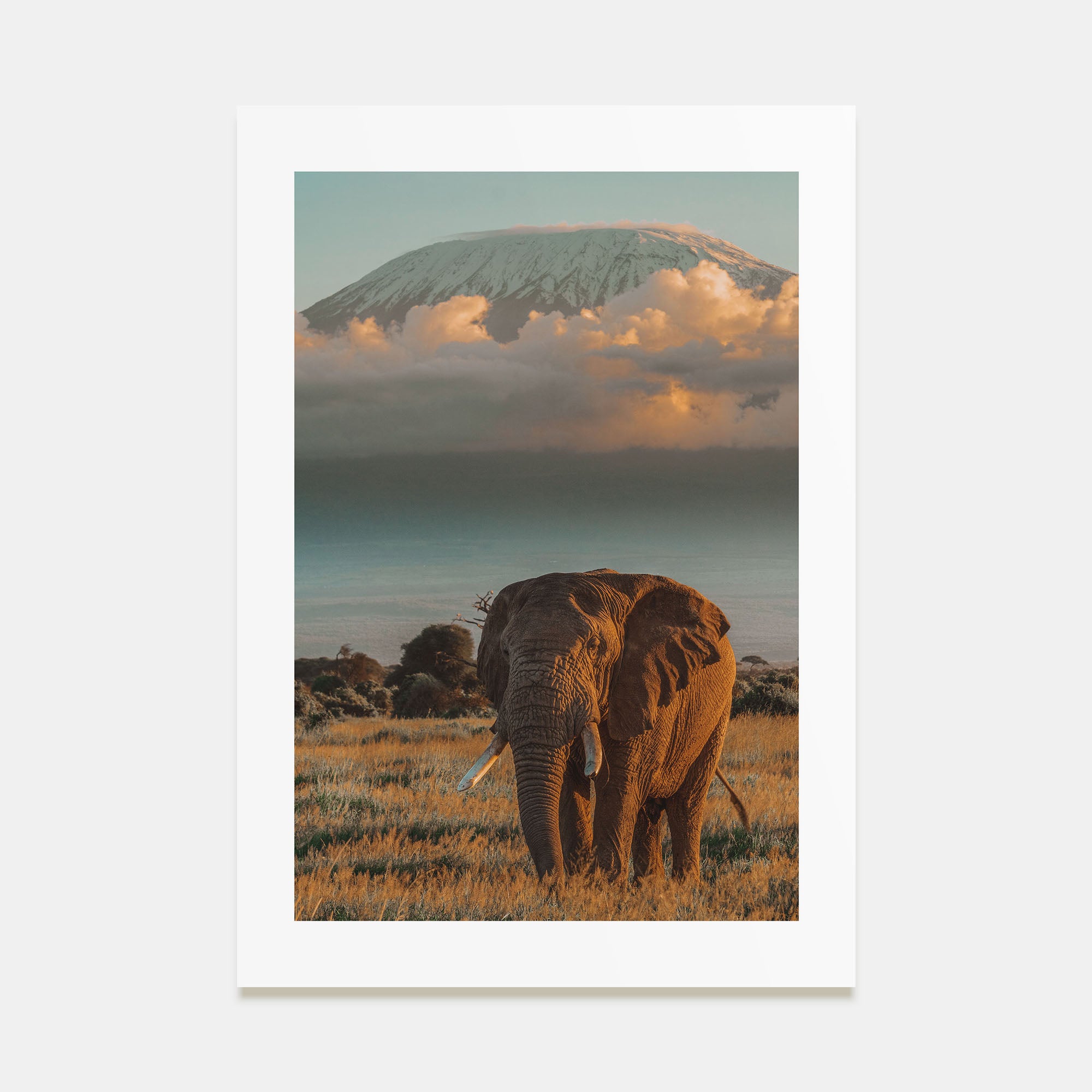 Mount Kilimanjaro Photo Color No 2 Poster