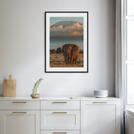 Mount Kilimanjaro Photo Color No 2 Poster