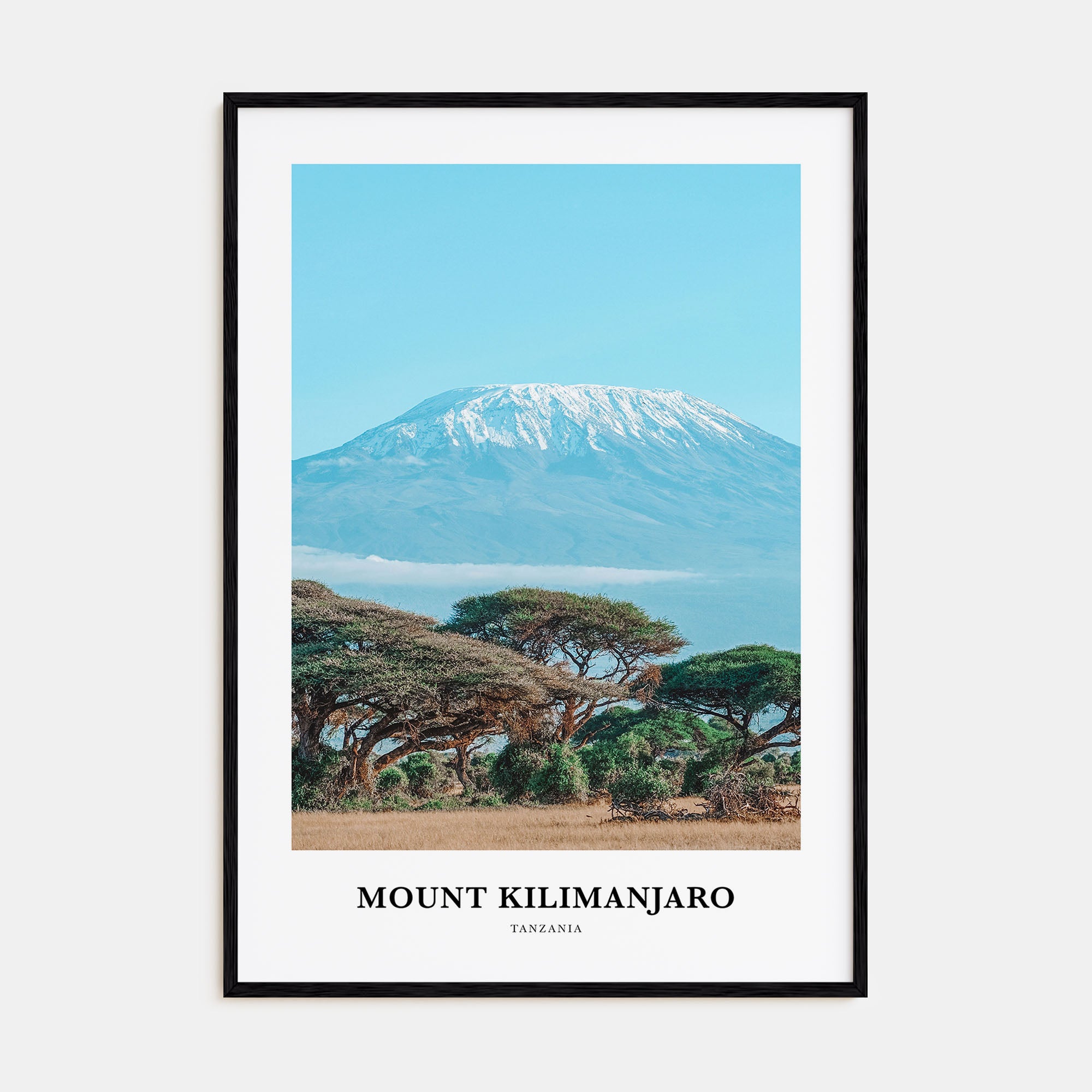 Mount Kilimanjaro Portrait Color Poster