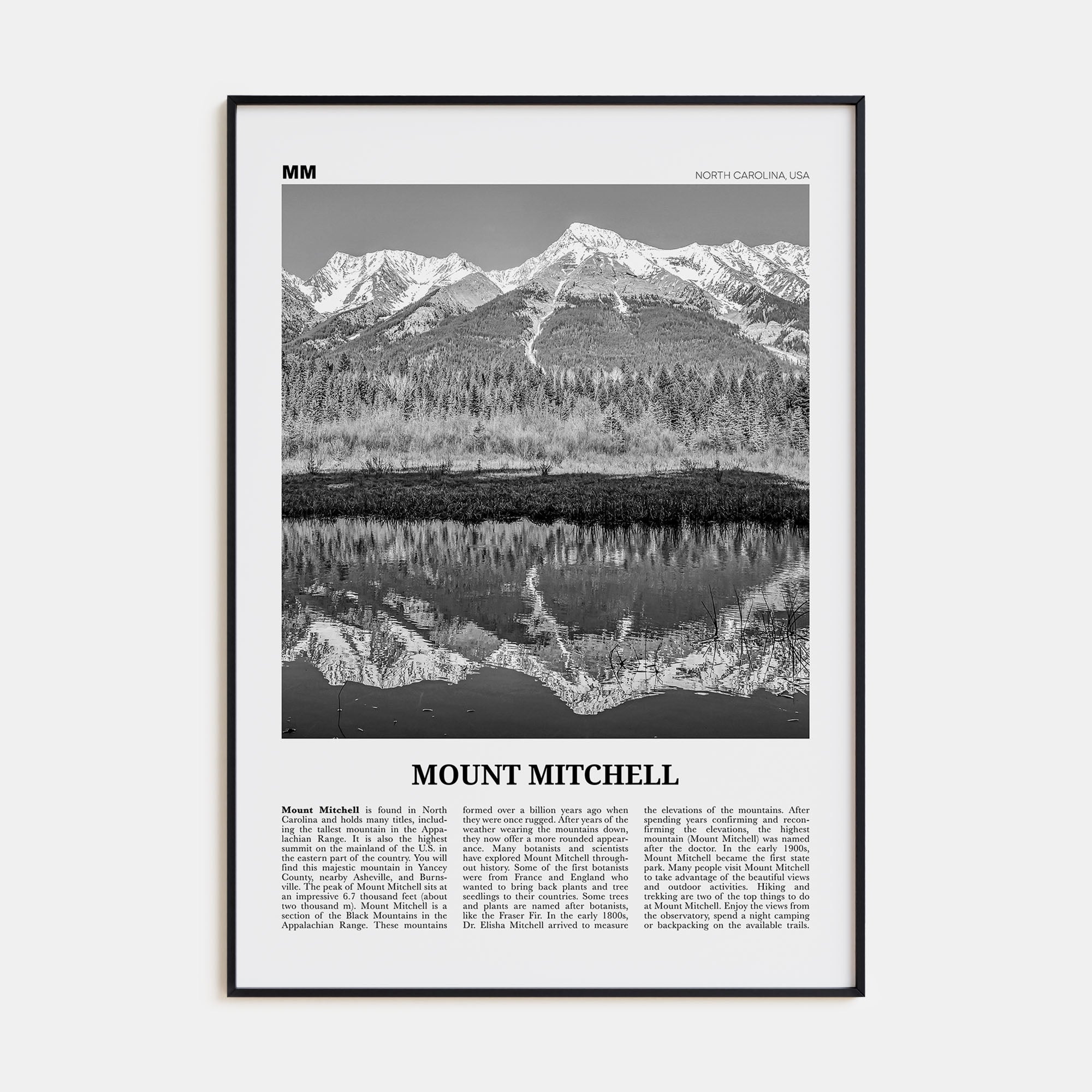 Mount Mitchell Travel B&W Poster
