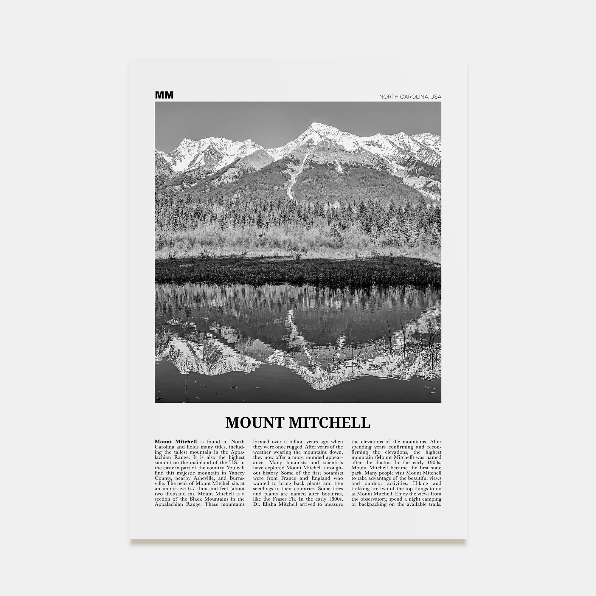 Mount Mitchell Travel B&W Poster