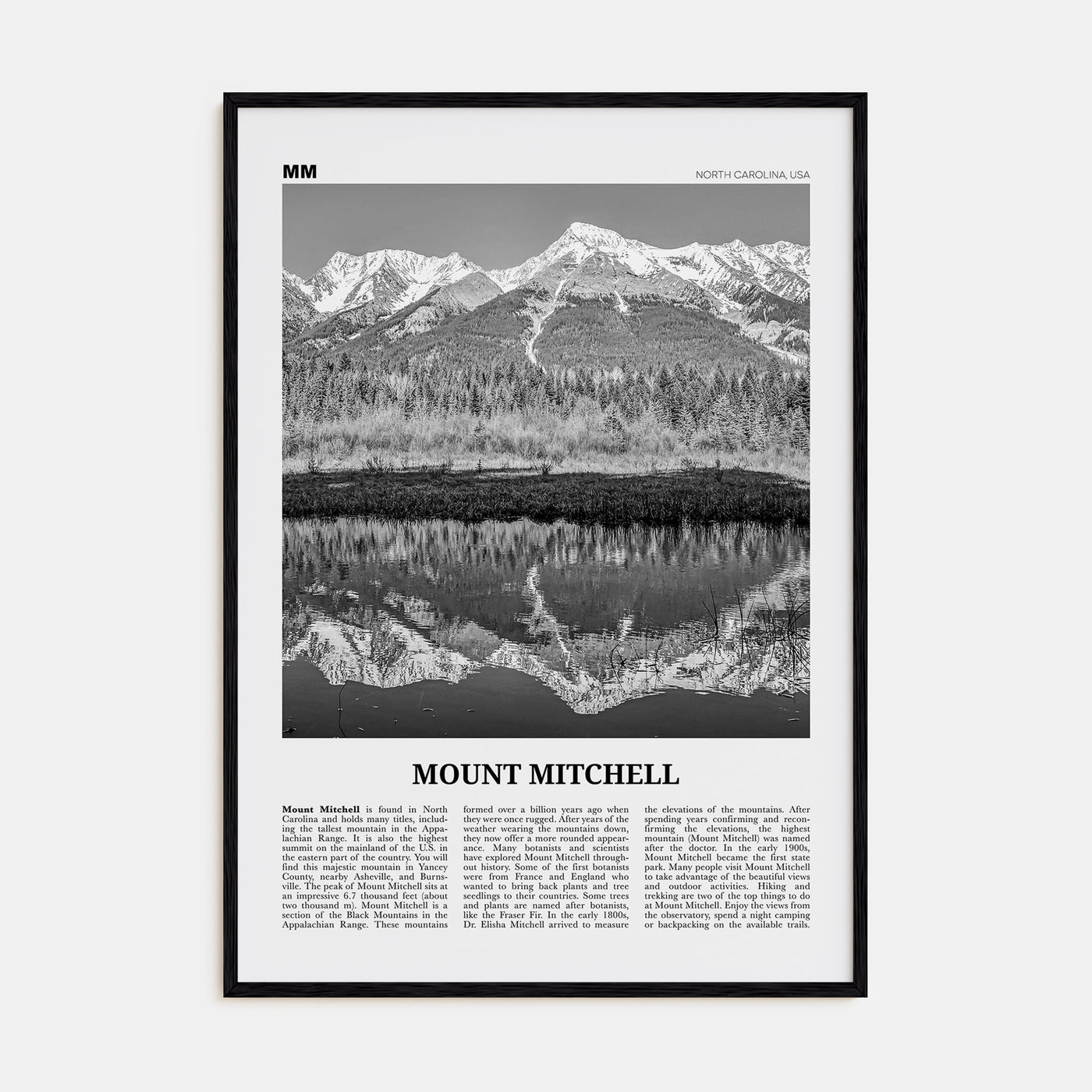 Mount Mitchell Travel B&W Poster