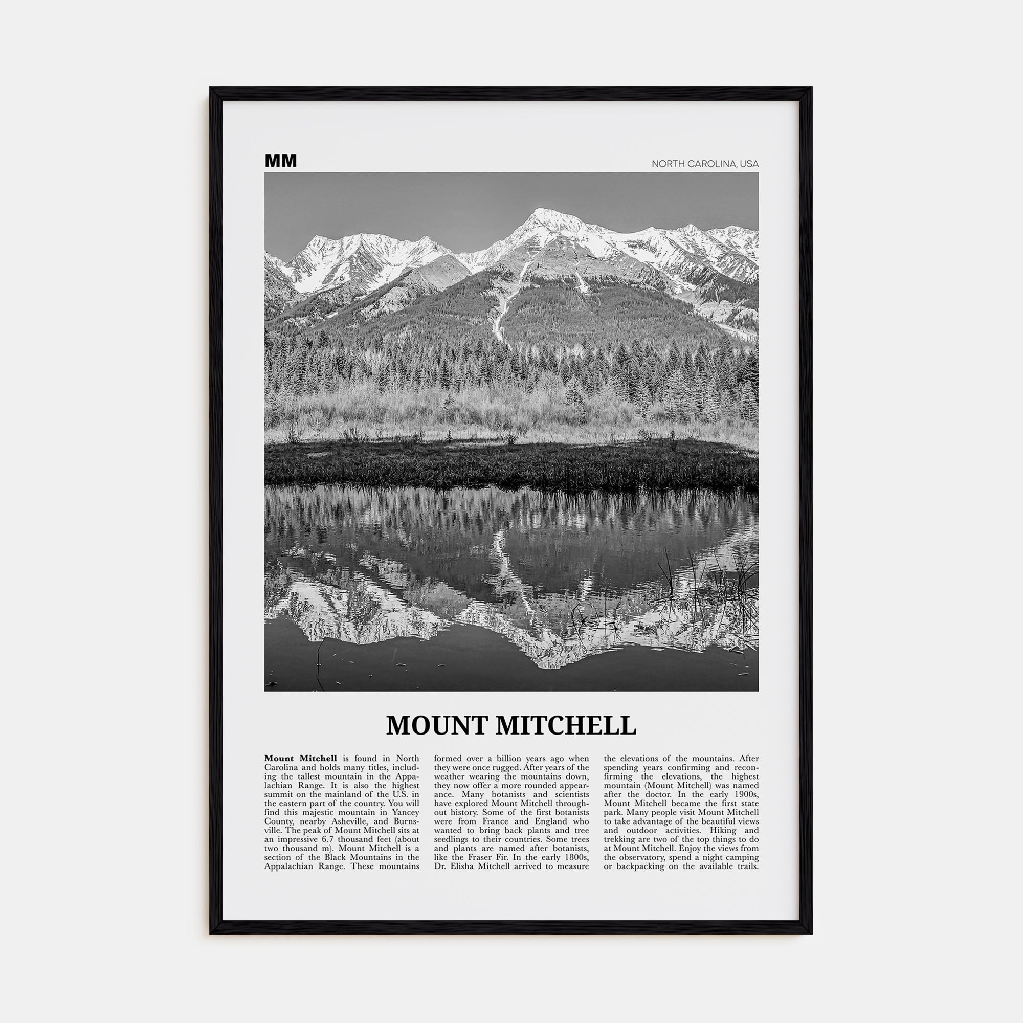 Mount Mitchell Travel B&W Poster