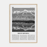 Mount Mitchell Travel B&W Poster