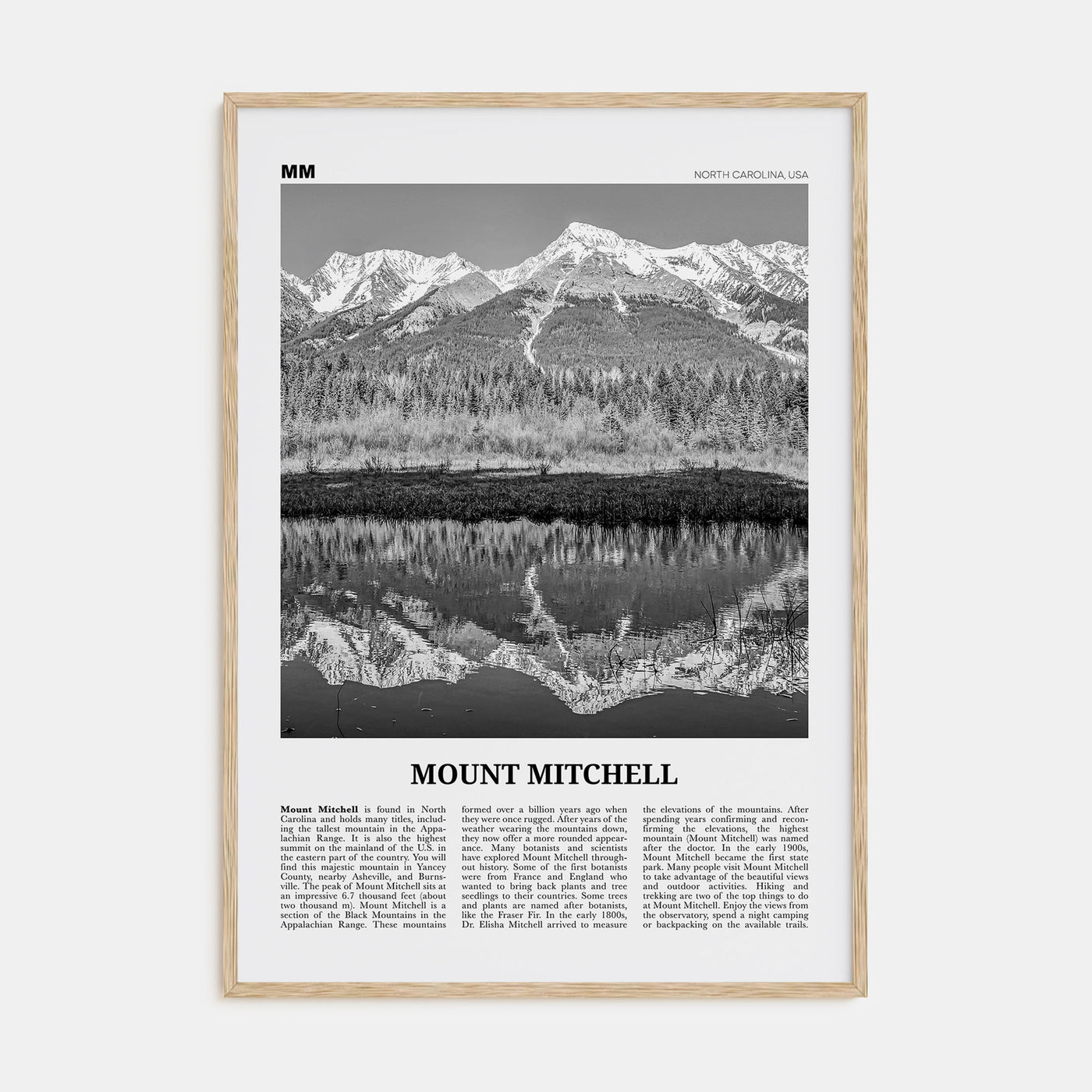 Mount Mitchell Travel B&W Poster