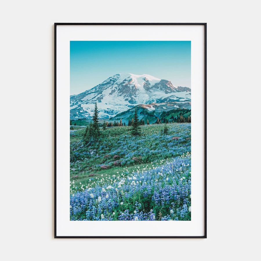 Mount Rainier Photo Color No 3 Poster