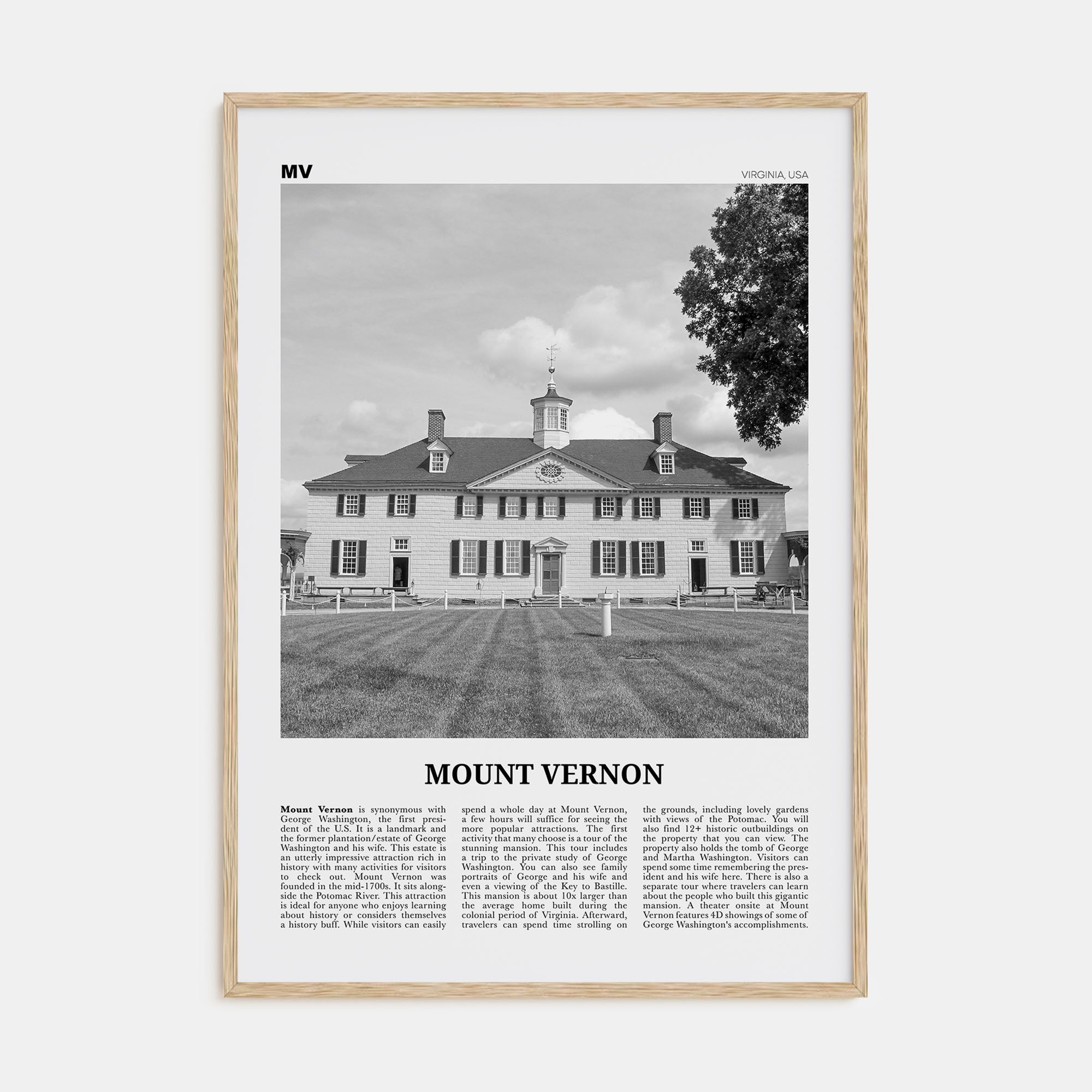 Mount Vernon Travel B&W Poster